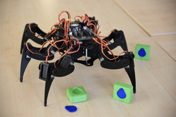 Spider robot with ITPL 3D print